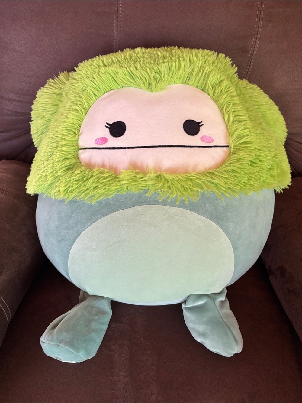 Squishmallows Green and Mint Plush Pet Pillow